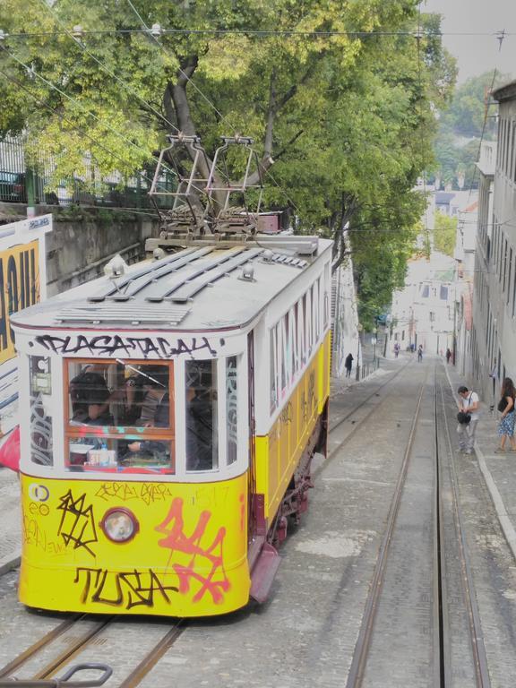 Window To Lisboa I Lejlighed Værelse billede